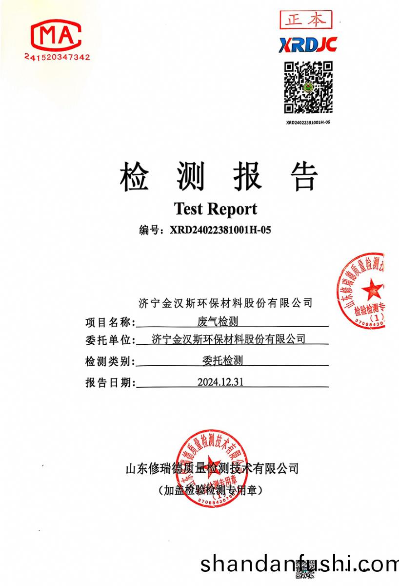 檢測報告（2024.12.31）