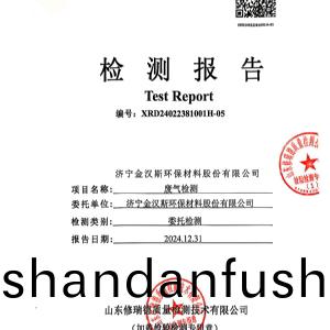 檢測報告（2024.12.31）