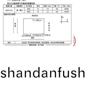 檢測報(bao)告（2024.12.31）