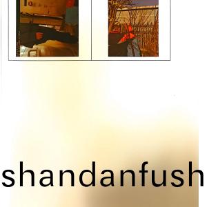 檢測報告（2024.12.31）